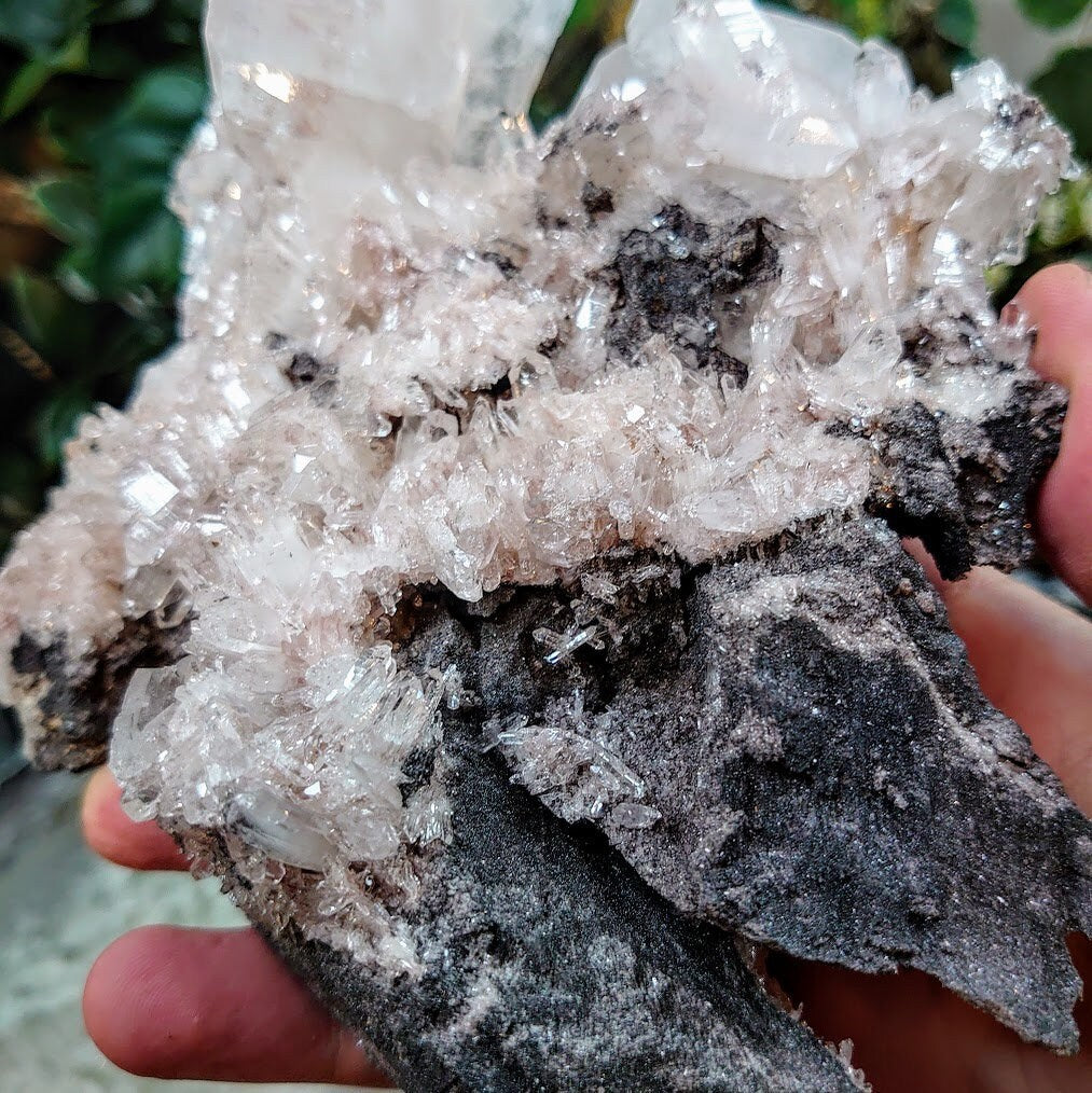 Double Terminated Tabular Point on Colombian Pink Quartz Cluster with Matrix / 728g / Lithium / for Crystal Healing / Home and Altar Decor