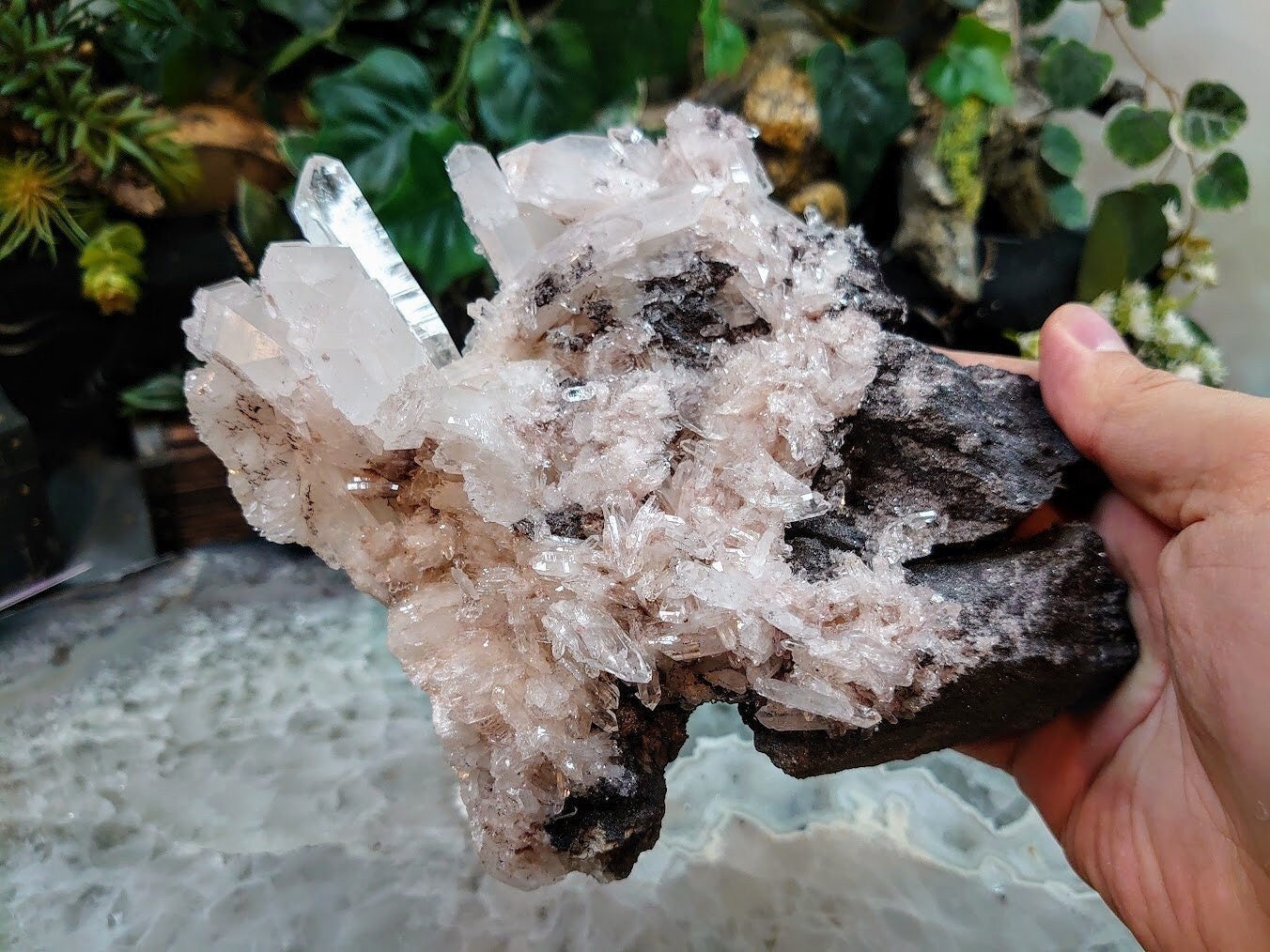 Double Terminated Tabular Point on Colombian Pink Quartz Cluster with Matrix / 728g / Lithium / for Crystal Healing / Home and Altar Decor