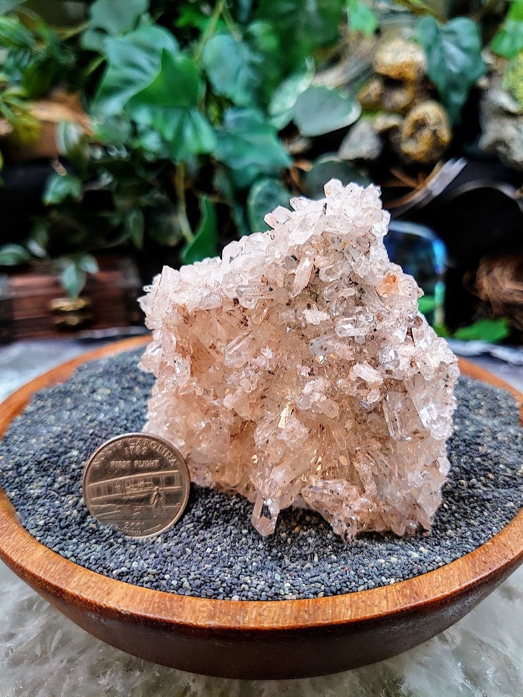 Striking Colombian Clear and Pink Quartz Plate / 117.54g / Lithium / for Crystal Healing / Small Cabinet Size