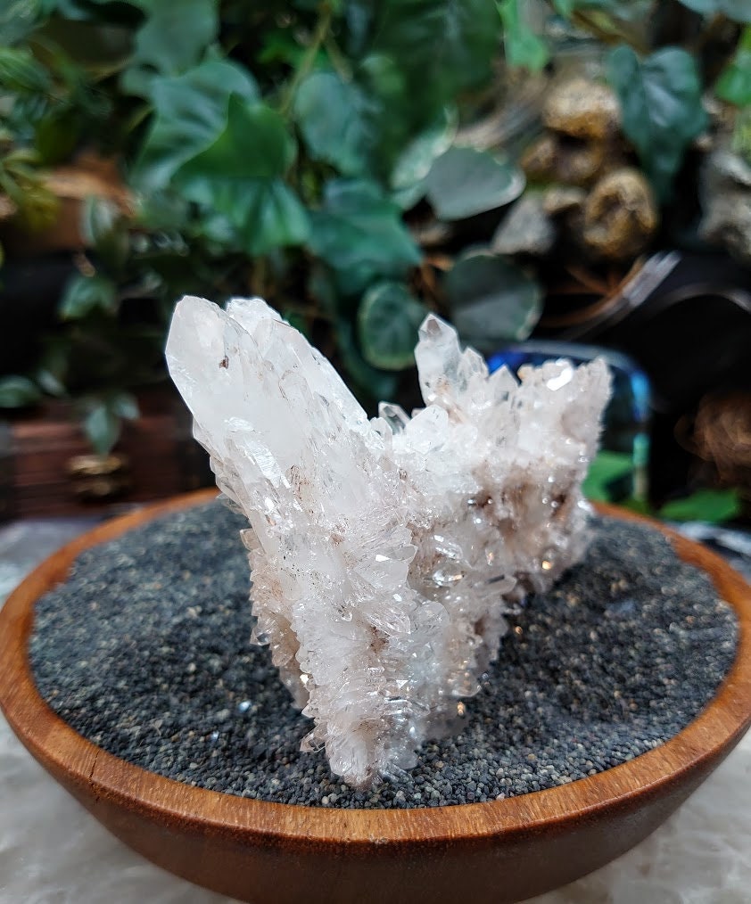 Natural Colombian Clear Quartz Cluster / 178g / for Crystal Healing / Home and Altar Decor / Small Cabinet Size