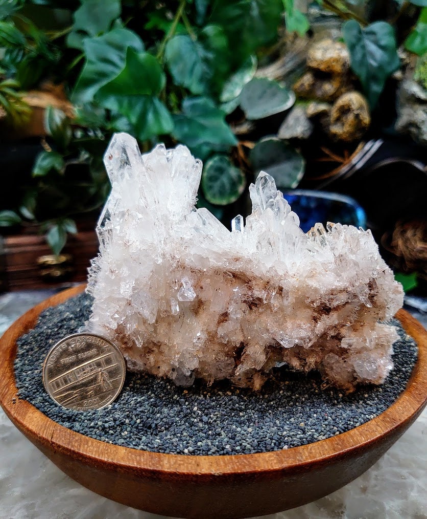 Natural Colombian Clear Quartz Cluster / 178g / for Crystal Healing / Home and Altar Decor / Small Cabinet Size