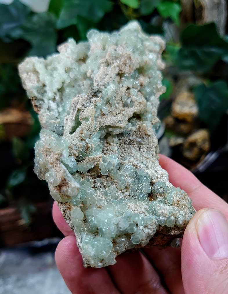 Botryoidal Prehnite Cluster From New Jersey, USA / 184g / Small Cabinet Specimen / for Desk Decor / Old Stock / Collection