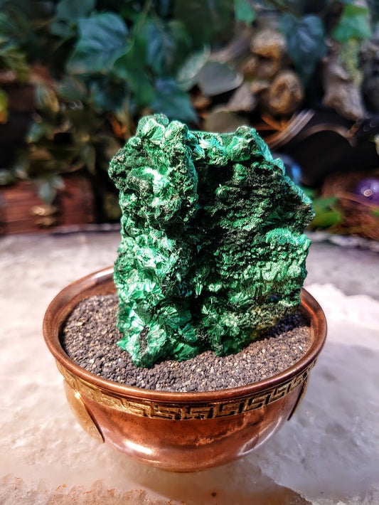 Silky Fibrous Malachite Specimen from Kasompe, Congo for Home and Altar Decor / 109.05g / Collection / Crystal Healing