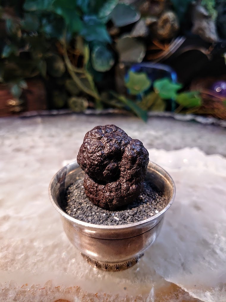 Egyptian Prophecy Stone for Crystal Healing / 49.57g / Goethite after Marcasite / Crystal Poop / Reiki / Meditation