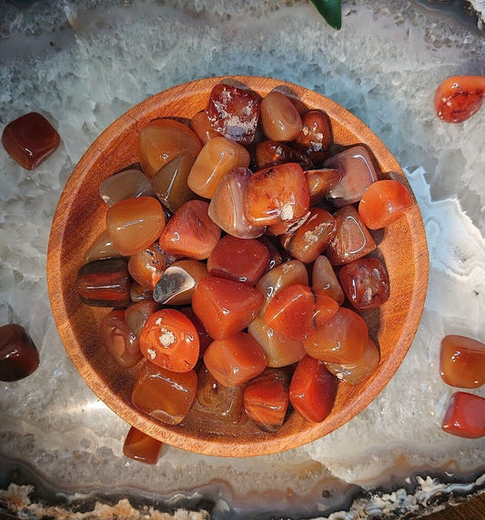 Carnelian Tumbled Stone/ Polished Pebbles/ for Crystal Healing & Grids/ Reiki/ Meditation/ Energy Work/ Gem and Mineral Collecting