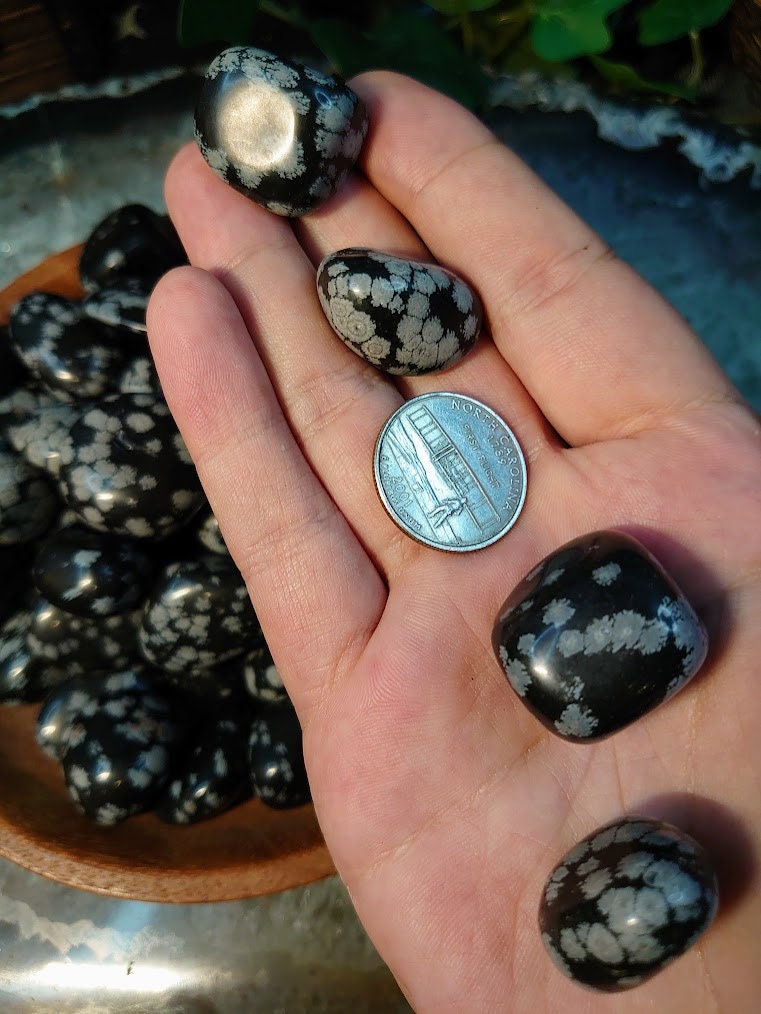 Snowflake Obsidian Tumbled Stone from Mexico / Polished Pebbles/ for Crystal Healing and Grids /Volcanic Glass / Meditation/ Gifts