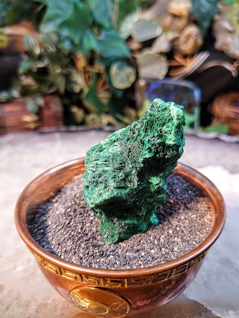 Silky Fibrous Malachite Specimen from Kasompe, Congo for Home and Altar Decor / 72.89g / Collection / Crystal Healing