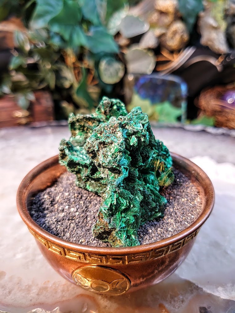 Silky Fibrous Malachite Specimen from Kasompe, Congo for Home and Altar Decor / 91.06g / Collection / Crystal Healing