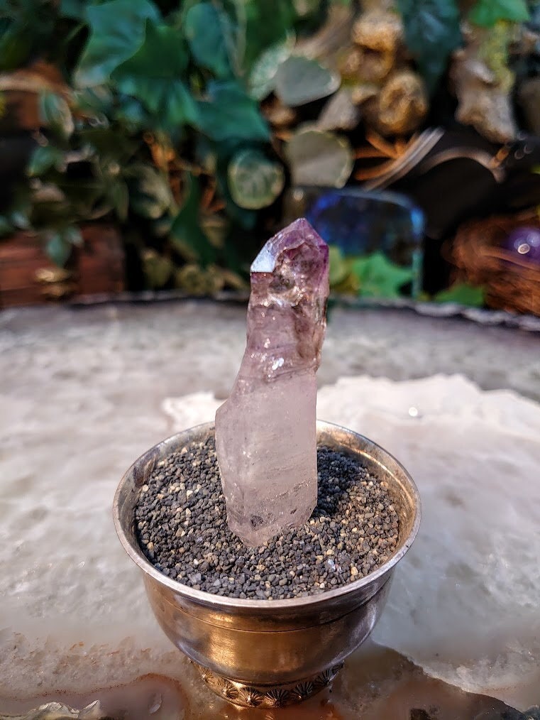 Double Terminated Shangaan Amethyst Scepter with Hematite Inclusions from Zimbabwe for Collection / 19.71g / Meditation/ Miniature Class