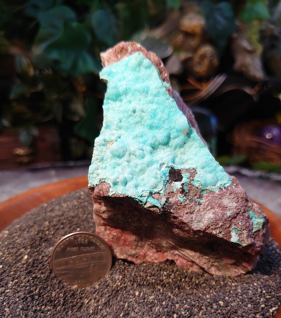 Natural Chrysocolla Druzy with Cobaltoan Calcite on Matrix for Home and Altar Decor / 374g / Crystal Healing / Collection /