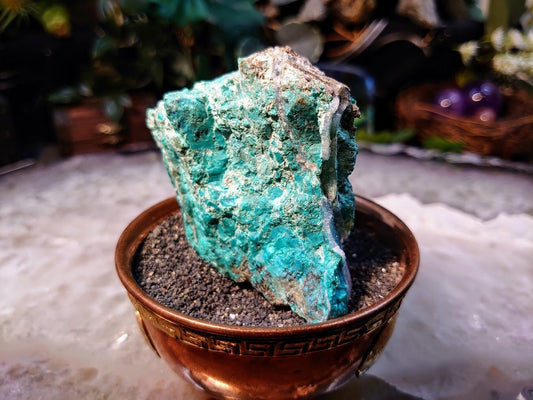 Natural Silicate Chrysocolla with Druzy on Matrix for Home and Altar Decor / 156g / Crystal Healing / Collection / Gifting for Her & Him