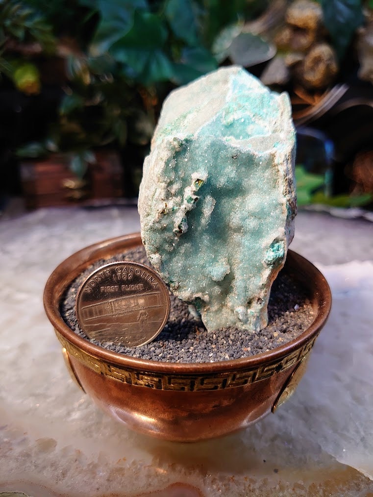 Natural Light Blue Chrysocolla Druzy on Matrix for Home and Altar Decor / 178g / Crystal Healing / Collection / Gifting for Her & Him