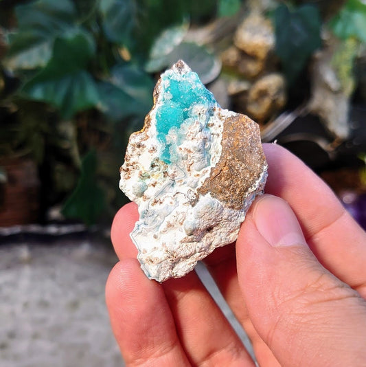 Small Natural Chrysocolla on Matrix for Home and Altar Decor / 27.25g / Energy Work / Crystal Healing / Collection