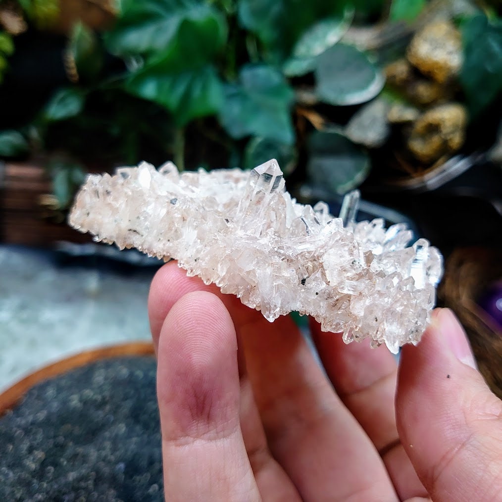 Striking Colombian Clear and Pink Quartz Plate / 117.54g / Lithium / for Crystal Healing / Small Cabinet Size