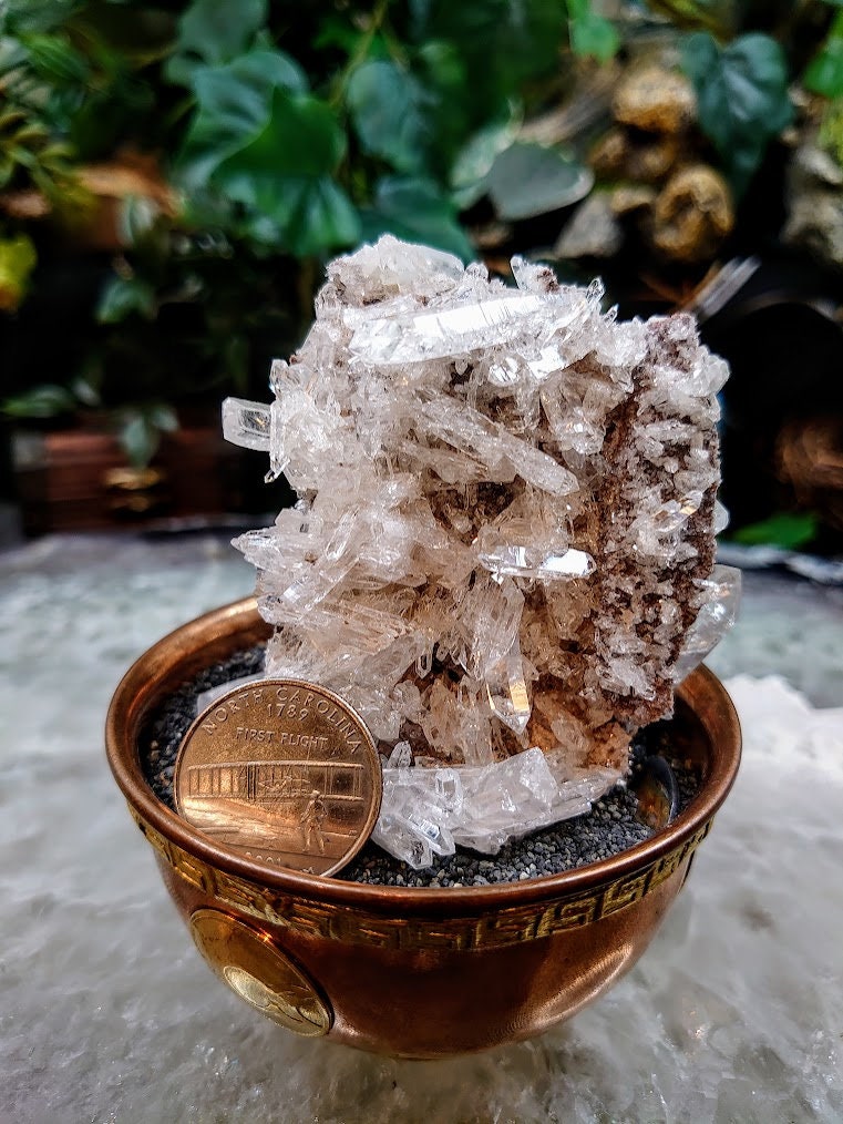 Natural Colombian Clear Quartz Cluster / 181g / for Crystal Healing / Home and Altar Decor / Small Cabinet Size