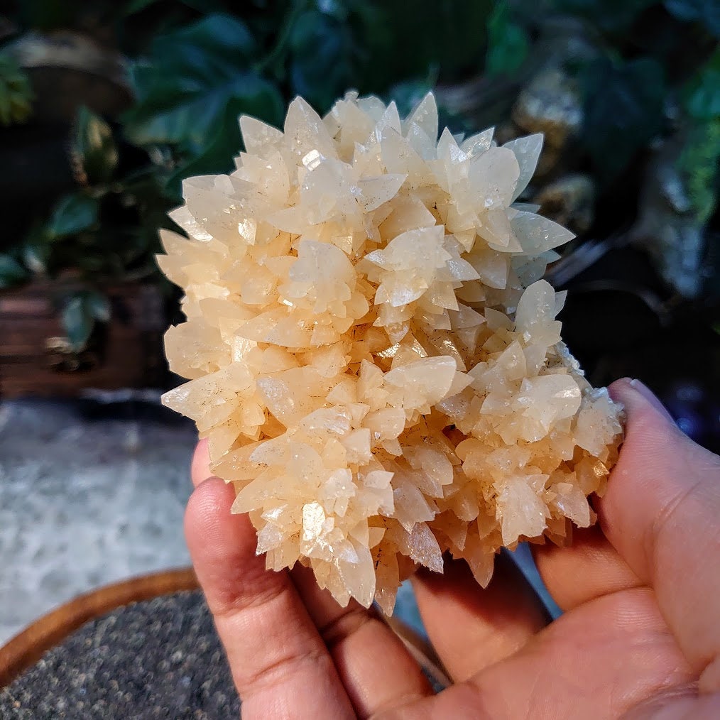 Amazing Dogtooth Orange Calcite Cluster from Andalusia, Spain for Collection / 307g / Home and Altar Decor / Small Cabinet Class