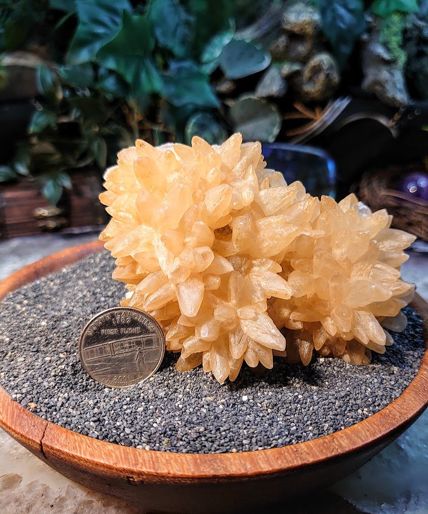 Natural Dogtooth Orange Calcite Cluster from Baluchistan, Pakistan for Collection / 280g / Home and Altar Decor / Small Cabinet Class