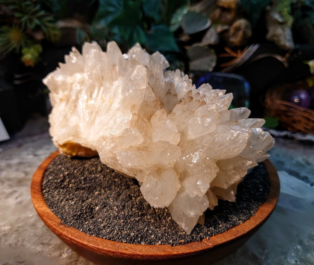 Beautiful White Celestite Cluster on Sulphur from Sicily, Italy / 1,882g / Celestine / Cabinet Size Class / Natural / Collection