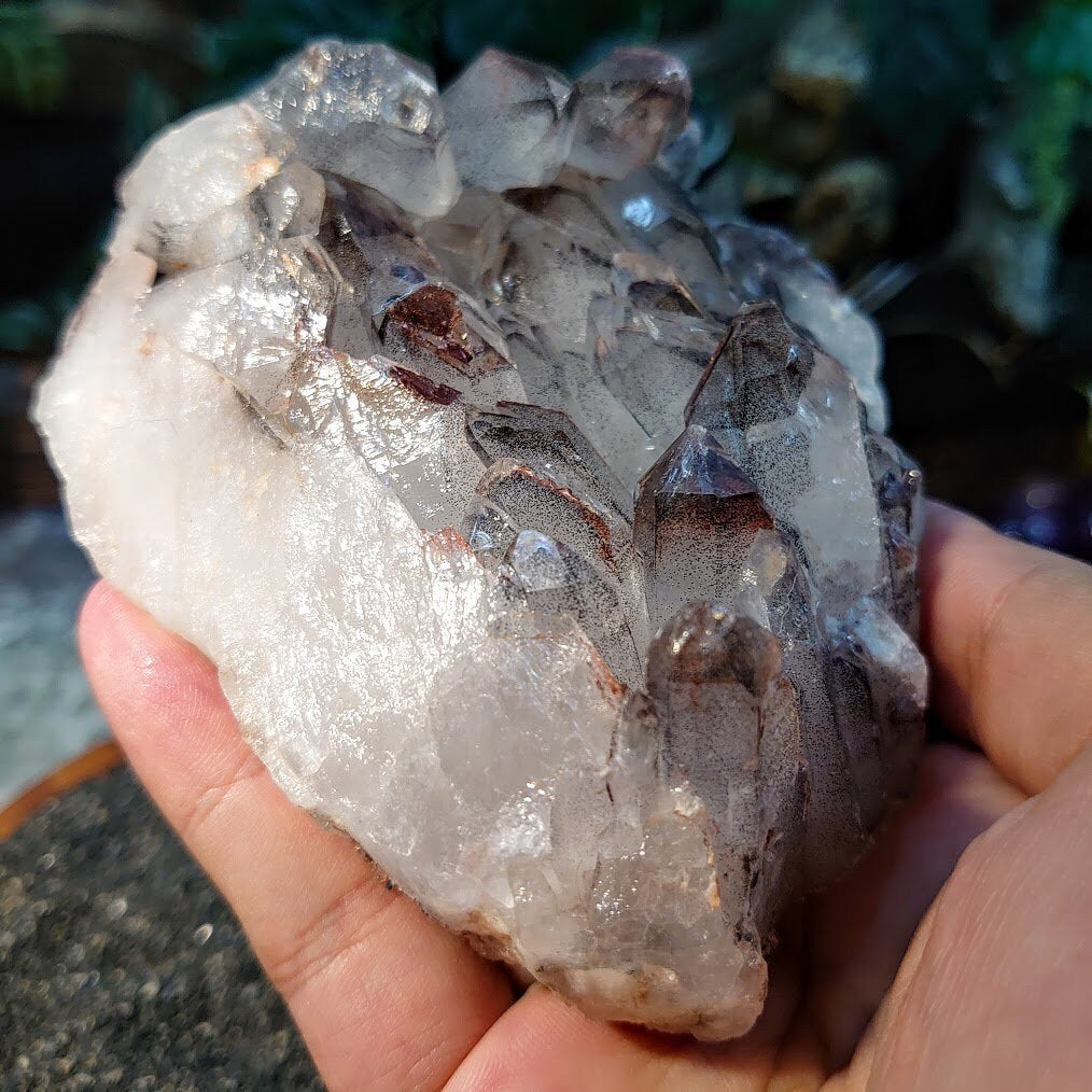 Hematite Quartz Cluster with Black Phantoms from Zambia / 470g / Hematoid Quartz for Crystal Healing / Cabinet Size Class / Home Decor