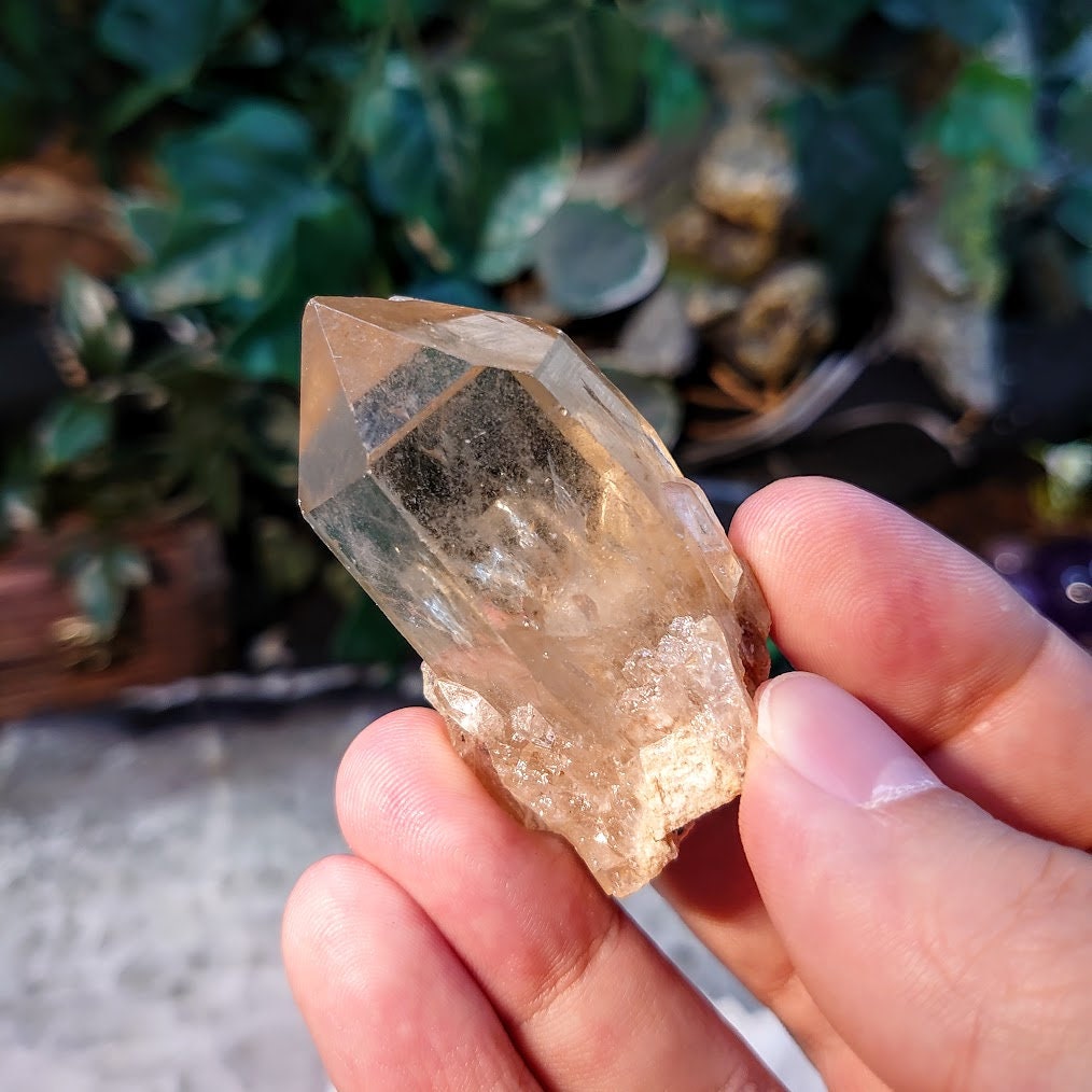 Natural Kundalini Congo Citrine Point for Altar and Home Decor / 49.92g / Energy Work / Crystal Healing / Reiki