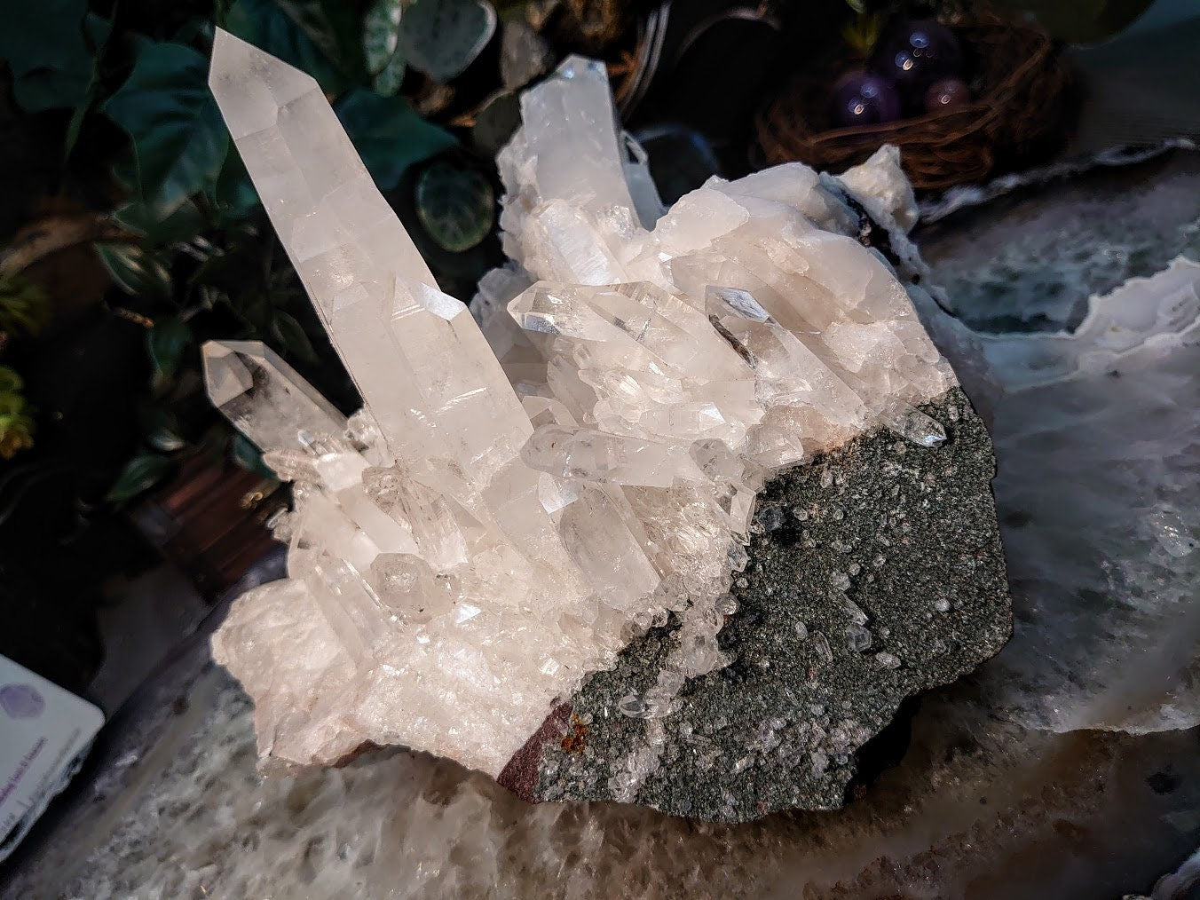 Amazing Colombian Tabular Crystal on Chlorite Coated Matrix / Clear Quartz Cluster for Crystal Healing / 3,111g  / Large Cabinet Specimen