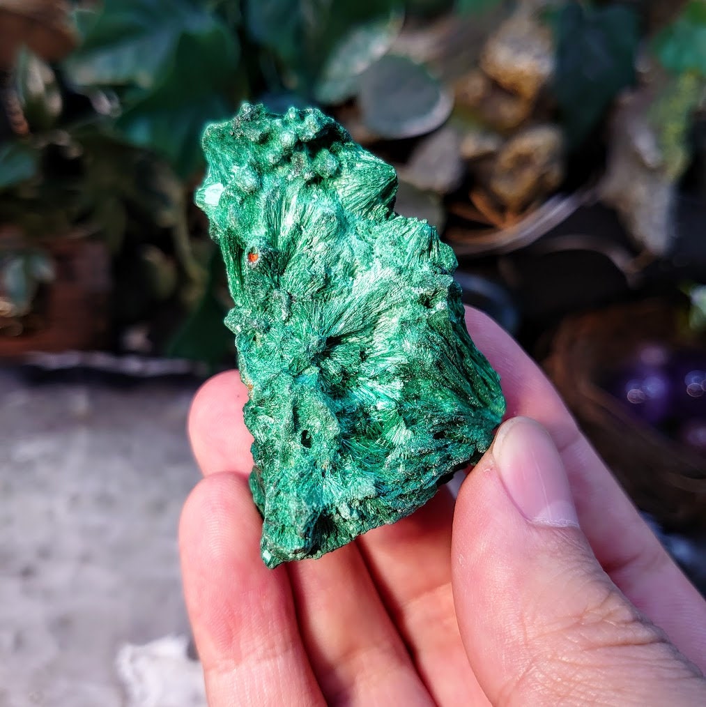 Silky Fibrous Malachite Specimen from Kasompe, Congo for Home and Altar Decor / 72.89g / Collection / Crystal Healing