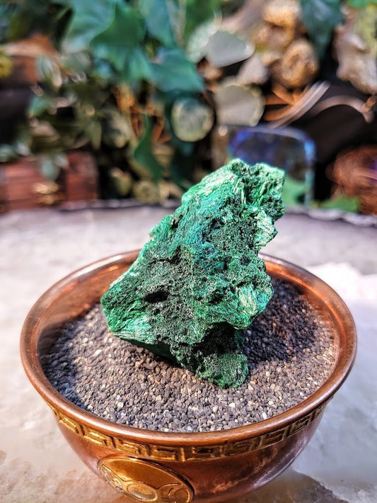 Silky Fibrous Malachite Specimen from Kasompe, Congo for Home and Altar Decor / 72.89g / Collection / Crystal Healing