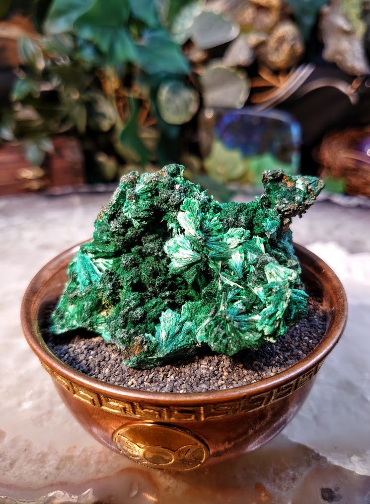 Silky Fibrous Malachite Specimen from Kasompe, Congo for Home and Altar Decor / 91.06g / Collection / Crystal Healing