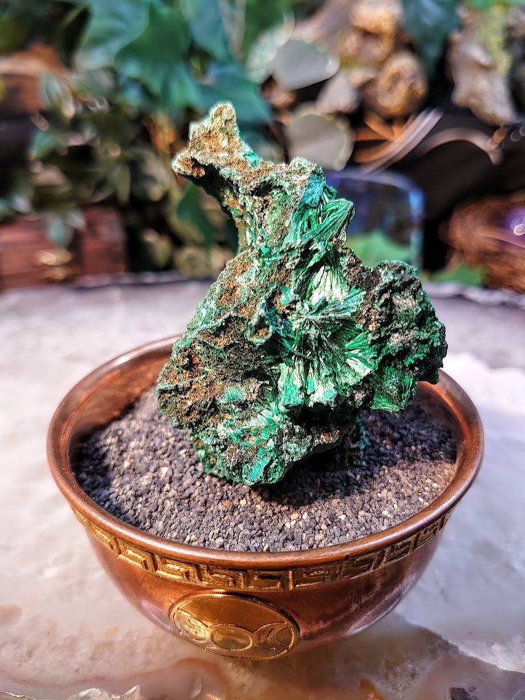 Silky Fibrous Malachite Specimen from Kasompe, Congo for Home and Altar Decor / 91.06g / Collection / Crystal Healing