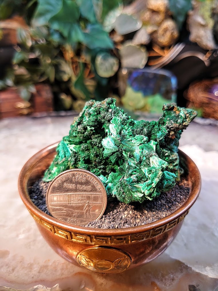 Silky Fibrous Malachite Specimen from Kasompe, Congo for Home and Altar Decor / 91.06g / Collection / Crystal Healing