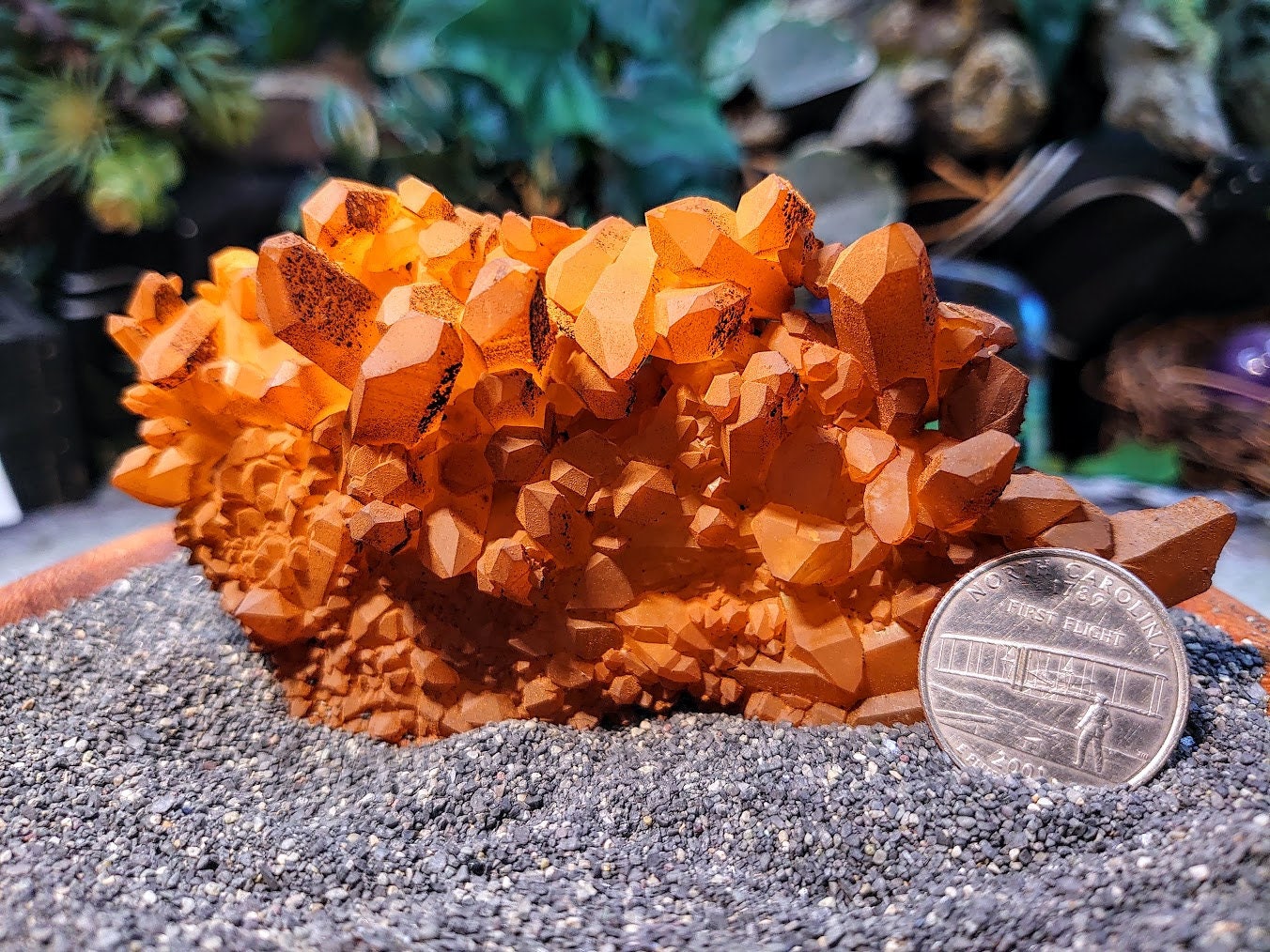 Awesome Arkansas Tangerine Quartz Cluster from United States for Crystal Healing / 118.49g / Meditation / Collection