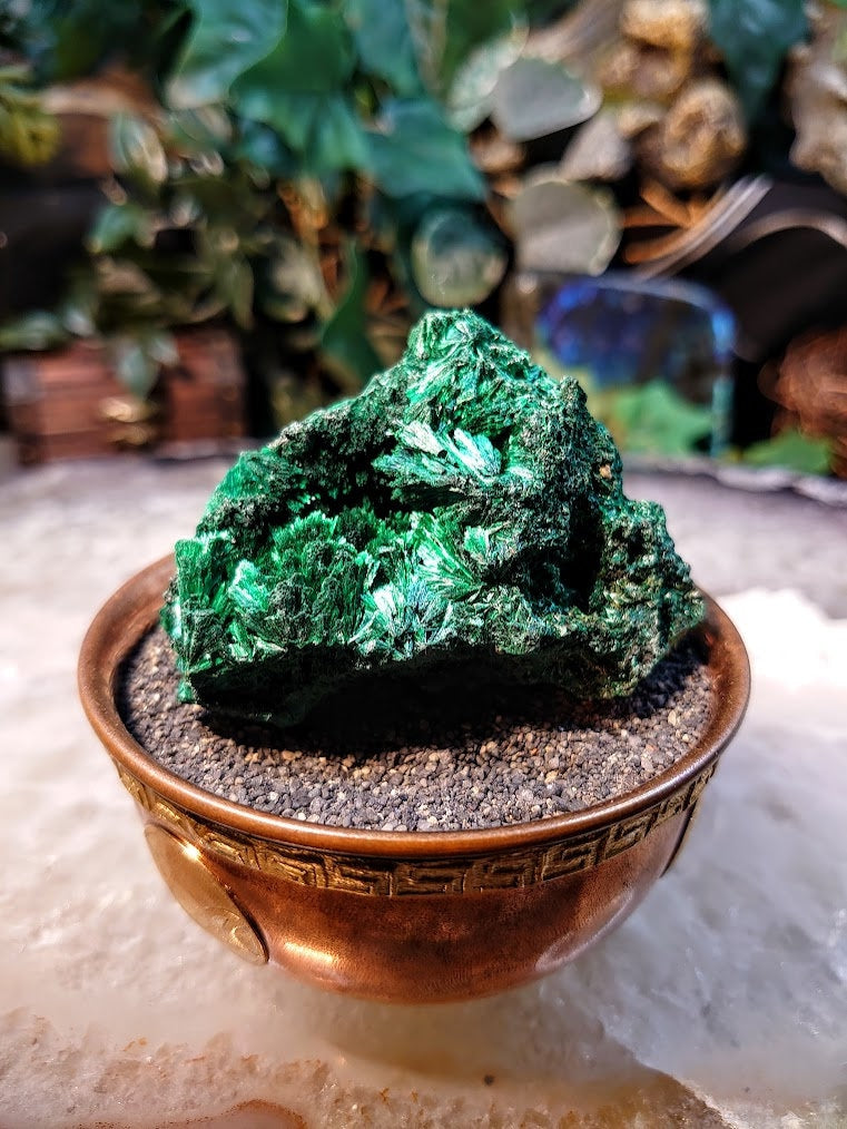 Silky Fibrous Malachite Specimen from Kasompe, Congo for Home and Altar Decor / 123g / Collection / Crystal Healing / Small Cabinet Size