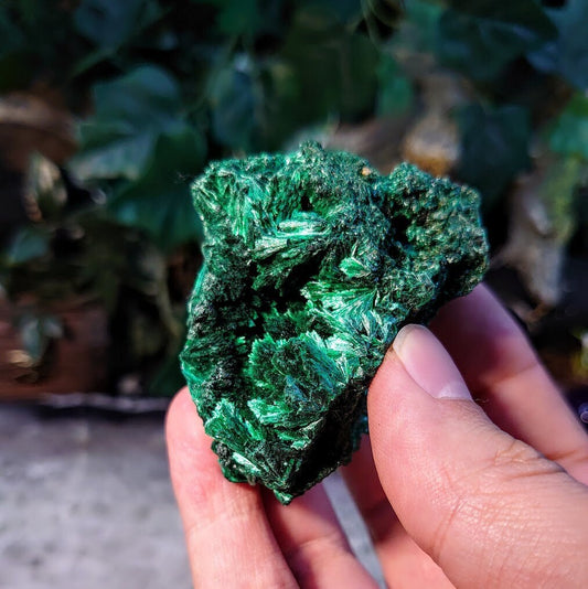 Silky Fibrous Malachite Specimen from Kasompe, Congo for Home and Altar Decor / 123g / Collection / Crystal Healing / Small Cabinet Size