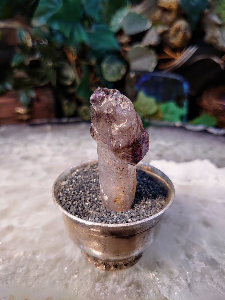 Shangaan Smoky Amethyst Scepter with Double Termination from Zimbabwe for Collection / 28.69g / Meditation/ Miniature Class