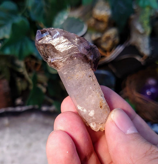 Shangaan Smoky Amethyst Scepter with Double Termination from Zimbabwe for Collection / 28.69g / Meditation/ Miniature Class