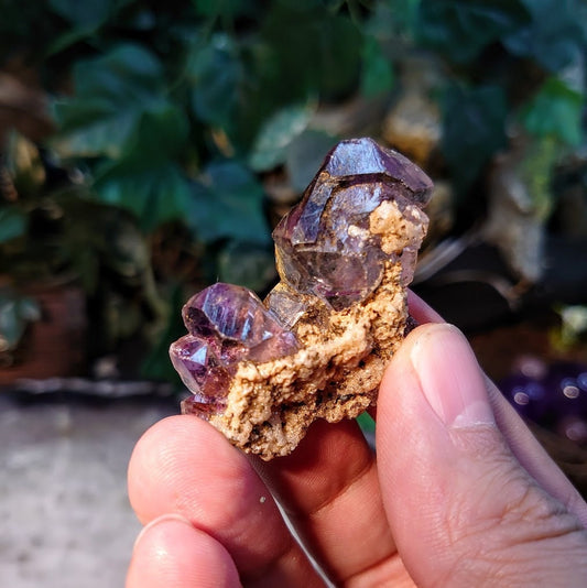 Beautiful Shangaan Amethyst Cluster on Quartz from Zimbabwe for Collection / 25.17g / Meditation/ Miniature Class