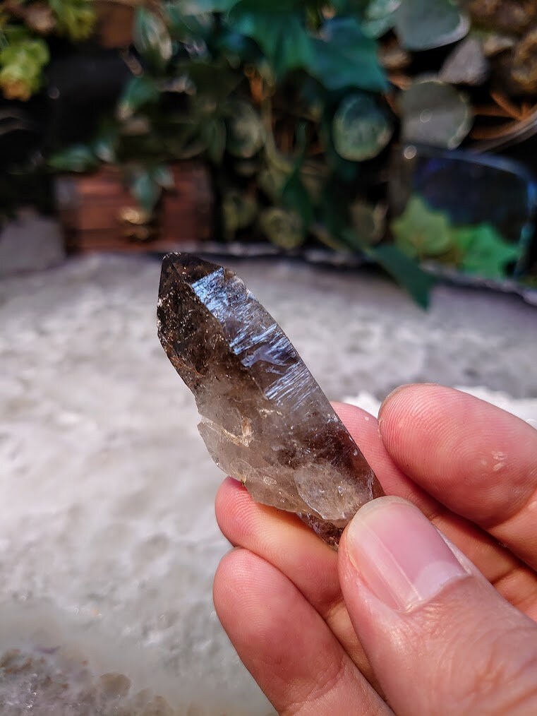 2 1/2" Smoky Quartz Crystal from Malawi, Africa for Collection / 20.93g / Home and Altar Decor / Protection / Crystal Healing