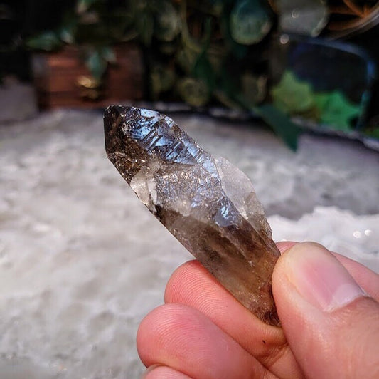 2 1/2" Smoky Quartz Crystal from Malawi, Africa for Collection / 20.93g / Home and Altar Decor / Protection / Crystal Healing