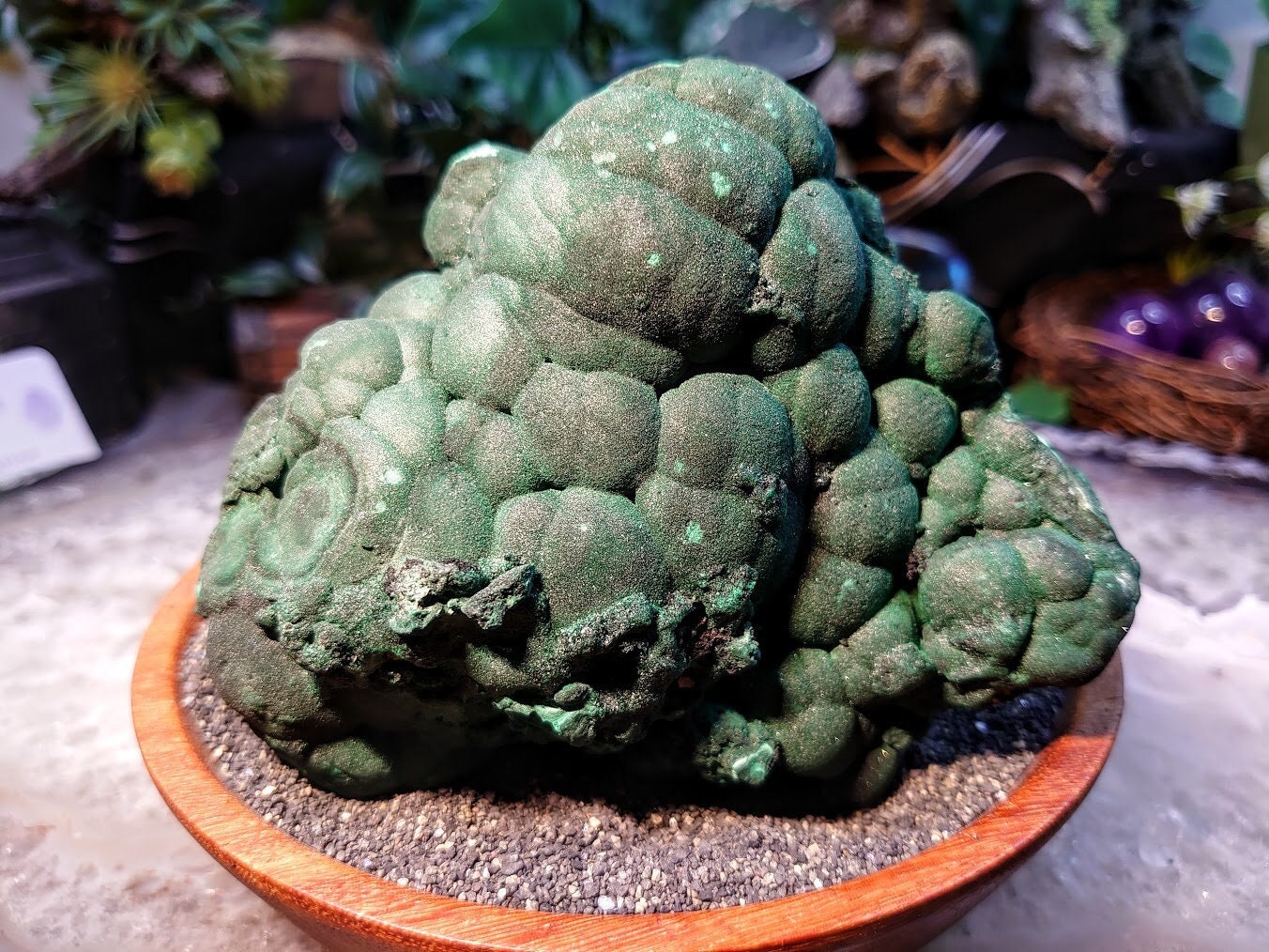 Glittering Botryoidal Malachite Specimen from Kasompe, Congo for Home and Altar Decor / 708g / Collection / Cabinet Size