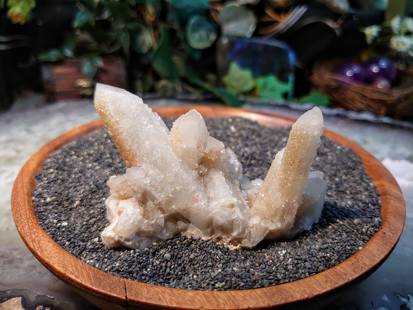 Witch Finger Quartz Cluster from Boekenhouthoek, Mpumalanga, South Africa for Home and Altar Decor / 112.93g / Reiki / Collection