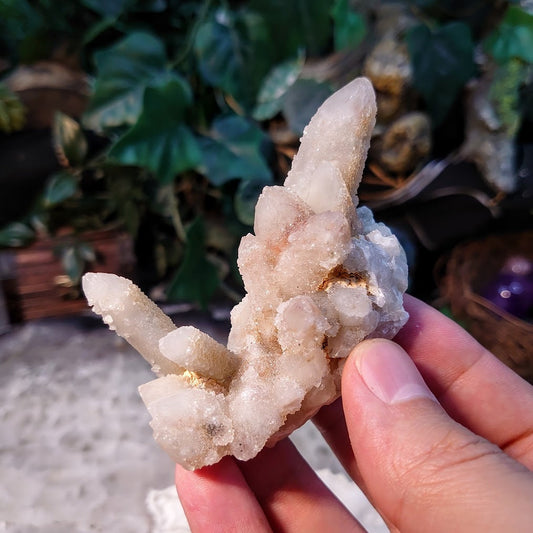 Witch Finger Quartz Cluster from Boekenhouthoek, Mpumalanga, South Africa for Home and Altar Decor / 112.93g / Reiki / Collection