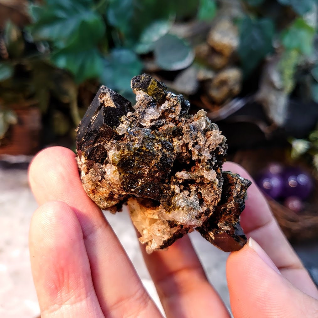 Aegirine and Epidote Cluster with Quartz from Prince of Wales Island, Alaska / 75.69g / Mineral Collection / Miniature Class