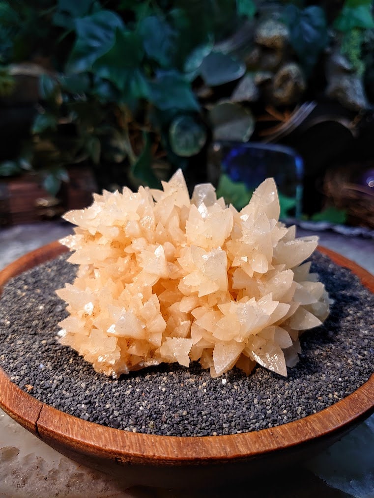 Amazing Dogtooth Orange Calcite Cluster from Andalusia, Spain for Collection / 307g / Home and Altar Decor / Small Cabinet Class