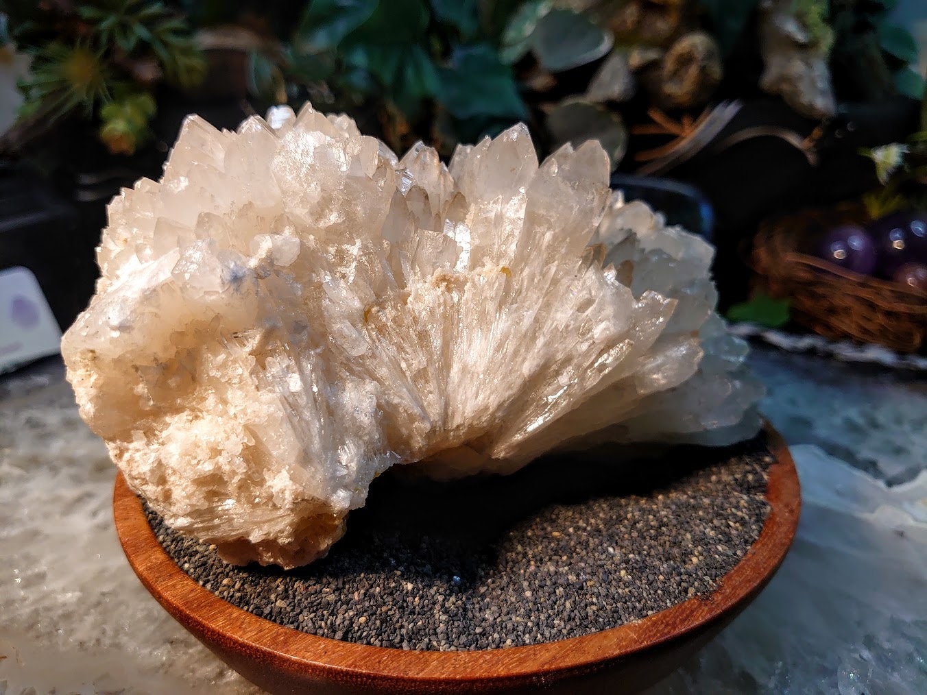 Beautiful White Celestite Cluster on Sulphur from Sicily, Italy / 1,882g / Celestine / Cabinet Size Class / Natural / Collection