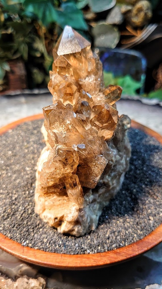 Natural Kundalini Congo Smoky Citrine Cluster with Phantoms for Altar and Home Decor / 421g / Energy Work / Crystal Healing / Reiki