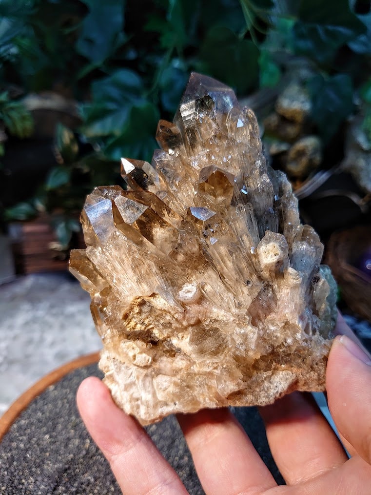 Natural Kundalini Congo Smoky Citrine Cluster with Phantoms for Altar and Home Decor / 421g / Energy Work / Crystal Healing / Reiki