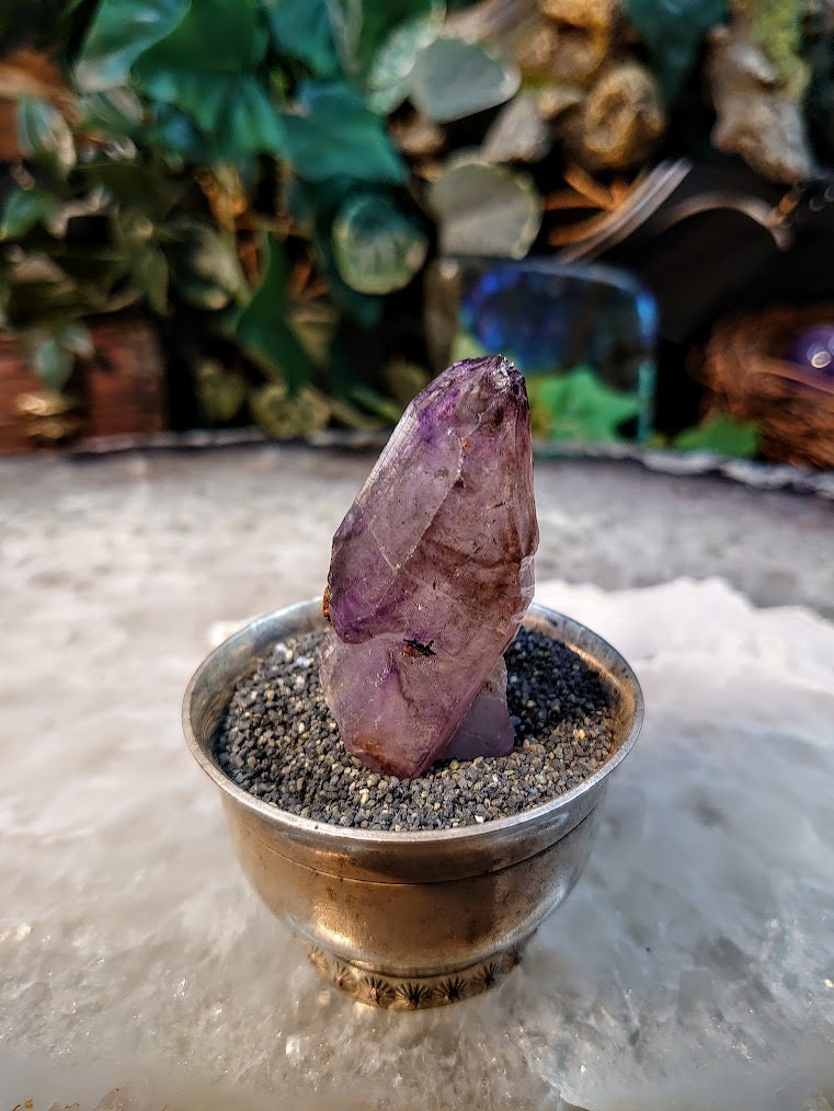 Shangaan Smoky Amethyst Crystal Cluster with Hematite Inclusions from Zimbabwe for Collection / 30.40g / Meditation/ Miniature Class