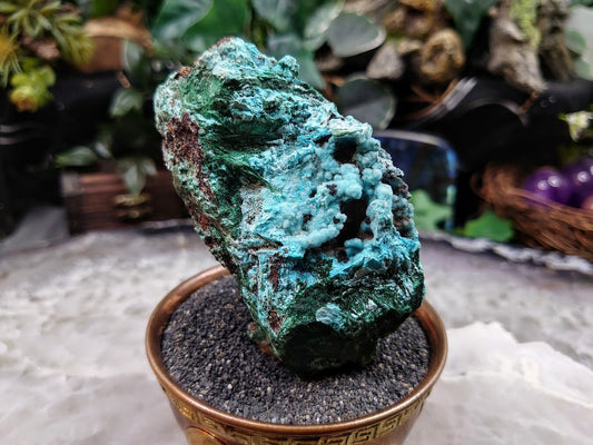 Beautiful Chrysocolla with Malachite and Druzy on Matrix for Home and Altar Decor / 220g / Small Cabinet Size / Crystal Healing / Collection