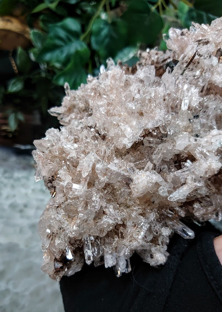 Awesome Colombian Pink Druzy Quartz Cluster / 1,060g / Lithium / for Crystal Healing / Home and Altar Decor / Cabinet Size