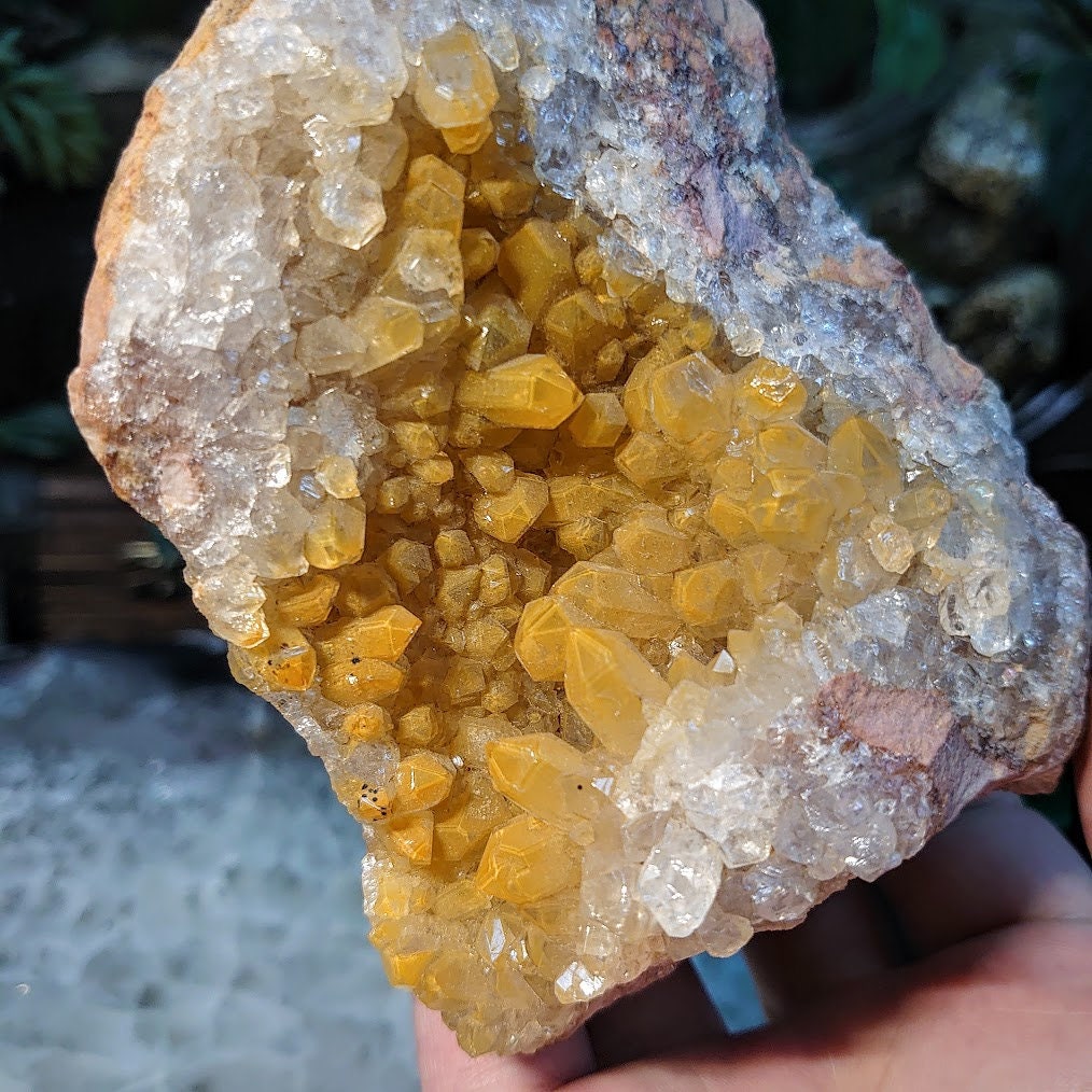 Natural Limonite Golden Healer Geode with Yellow Phantoms from Zambia, Africa for Crystal Healing / 730g / Reiki / Home Decor / Cabinet Size